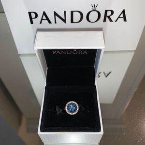 Pandora charm